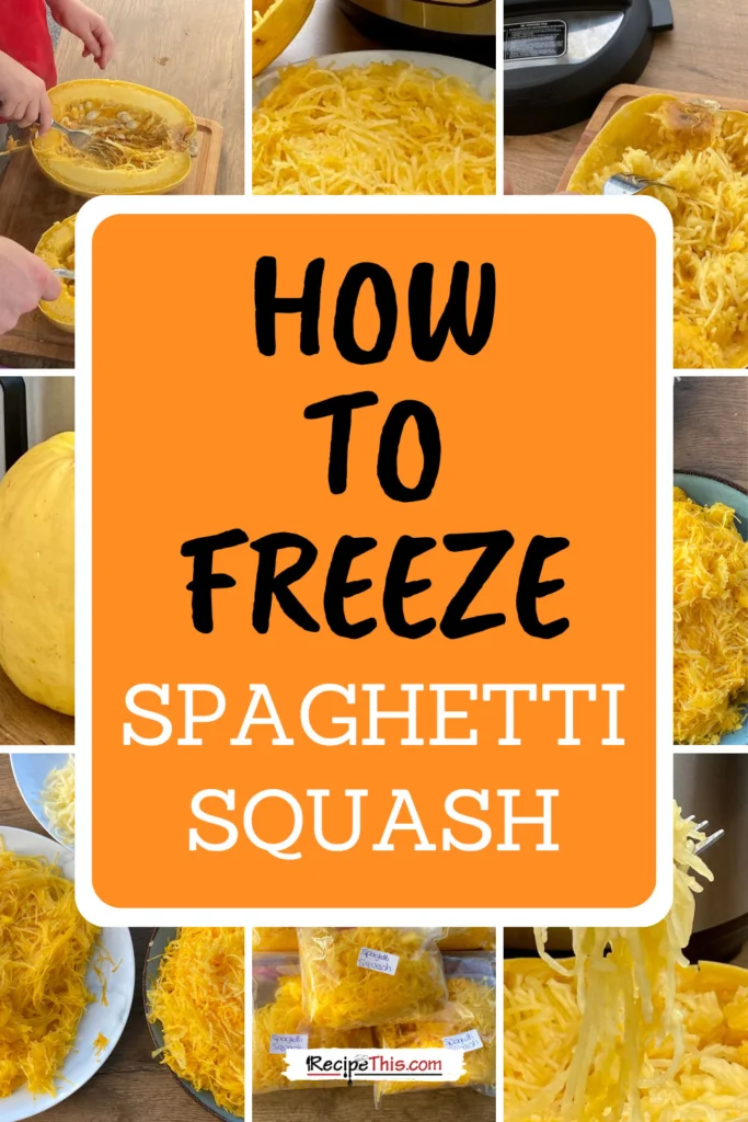 how-to-freeze-spaghetti-squash-guide