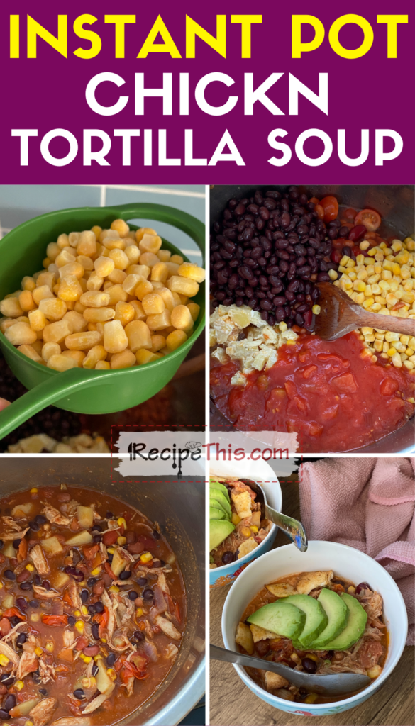 Ninja foodi tortilla online soup