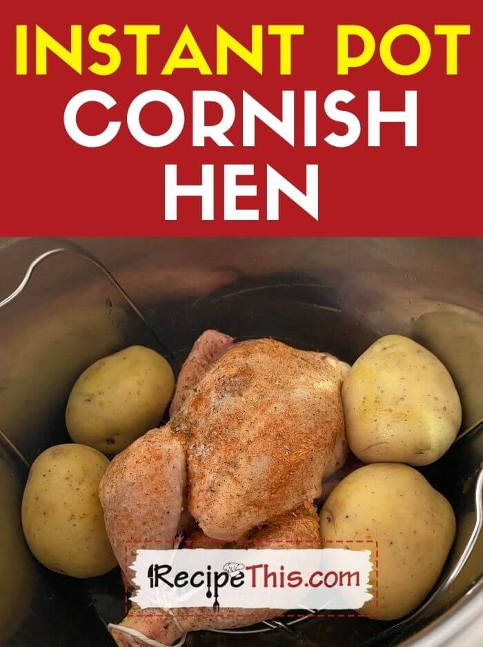 Frozen cornish game discount hen instant pot