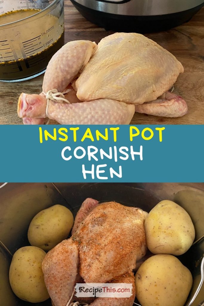 Instant Pot Mini - Cornish Game Hen - Simply Happy Foodie