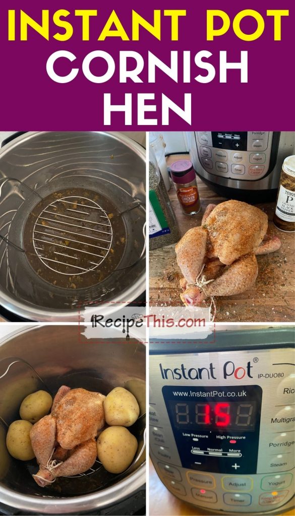 instant pot cornish hen step by step