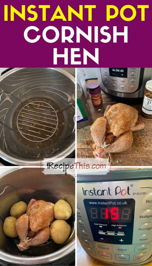 Recipe This Instant Pot Cornish Hen