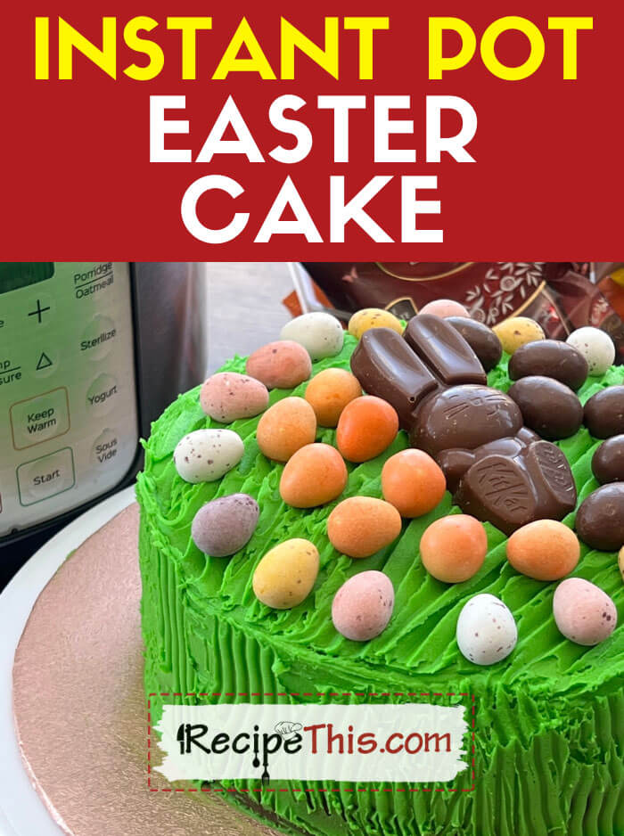 Instant Pot Chocolate Easter Cake