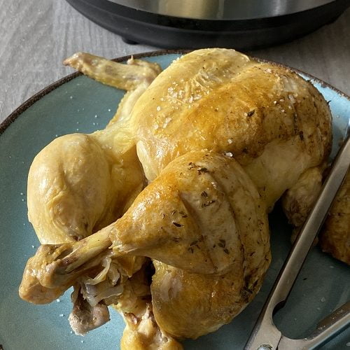 instant pot frozen whole chicken