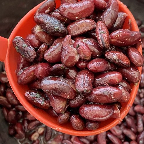 Instant pot kidney online beans soaked