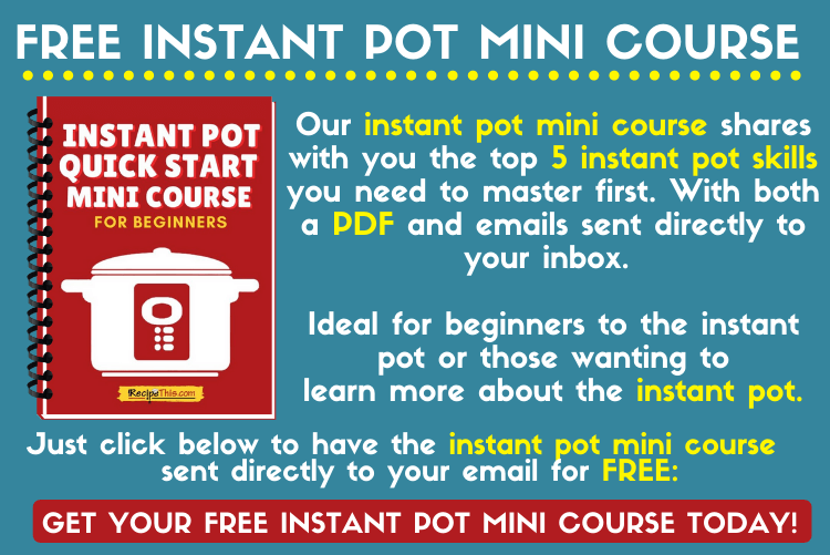 instant pot mini course reusable block