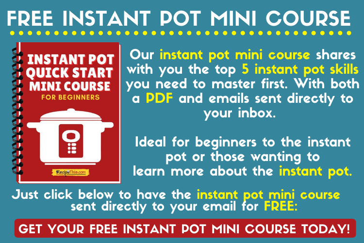 Instant Pot Mini Beginners Guide