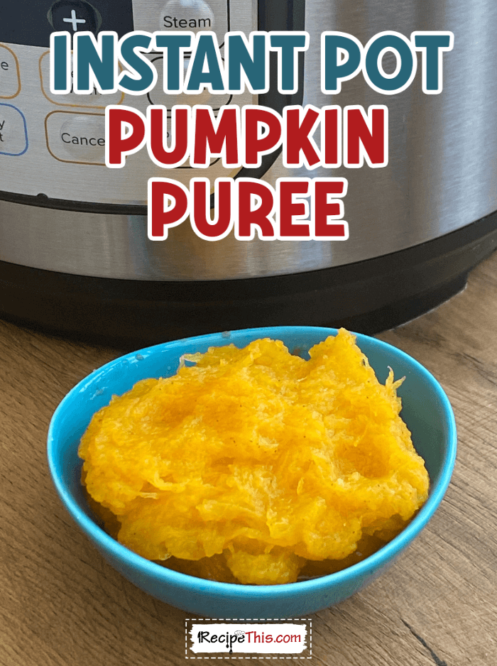 instant pot pumpkin puree at recipethis