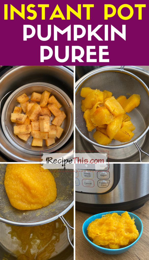 instant pot pumpkin puree step by step