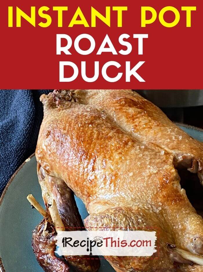 Whole duck in instant pot sale