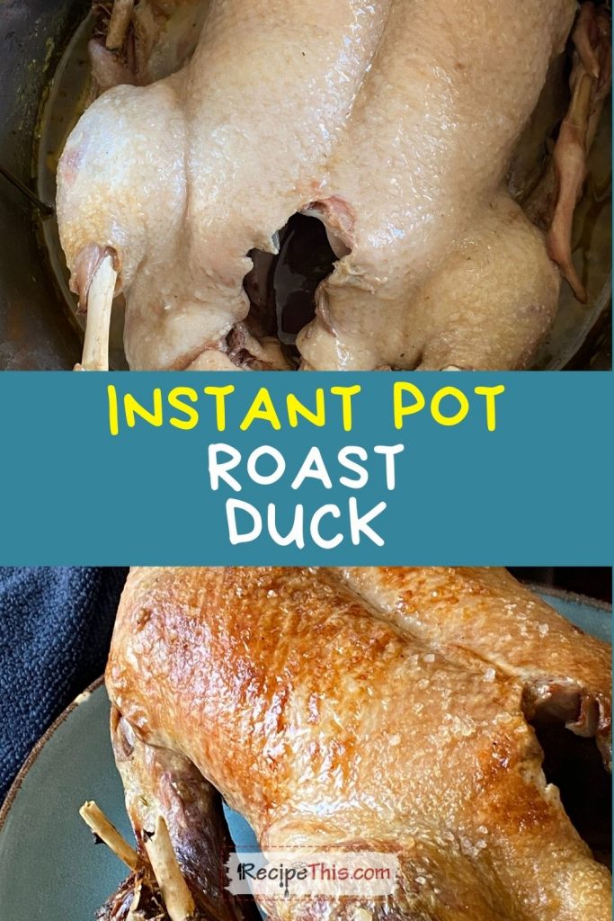 instant roast duck recipe