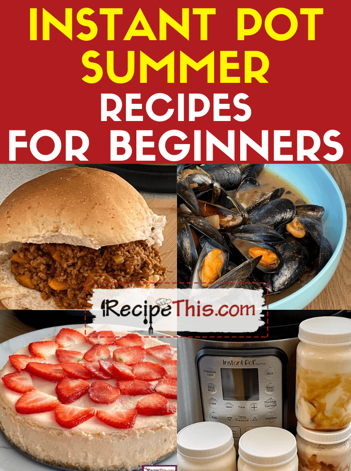 instant pot summer recipes for beginners