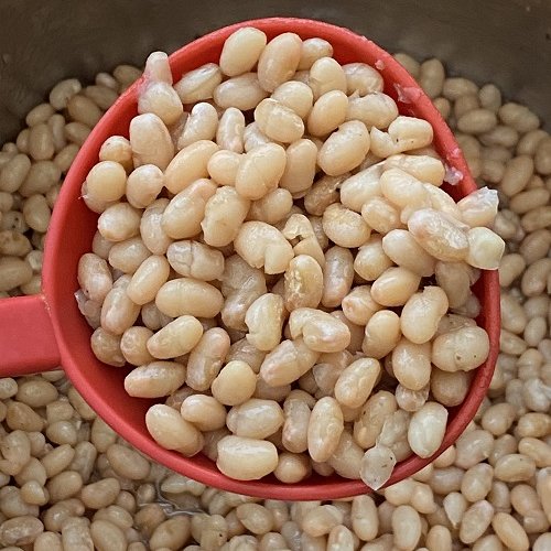 instant pot white beans