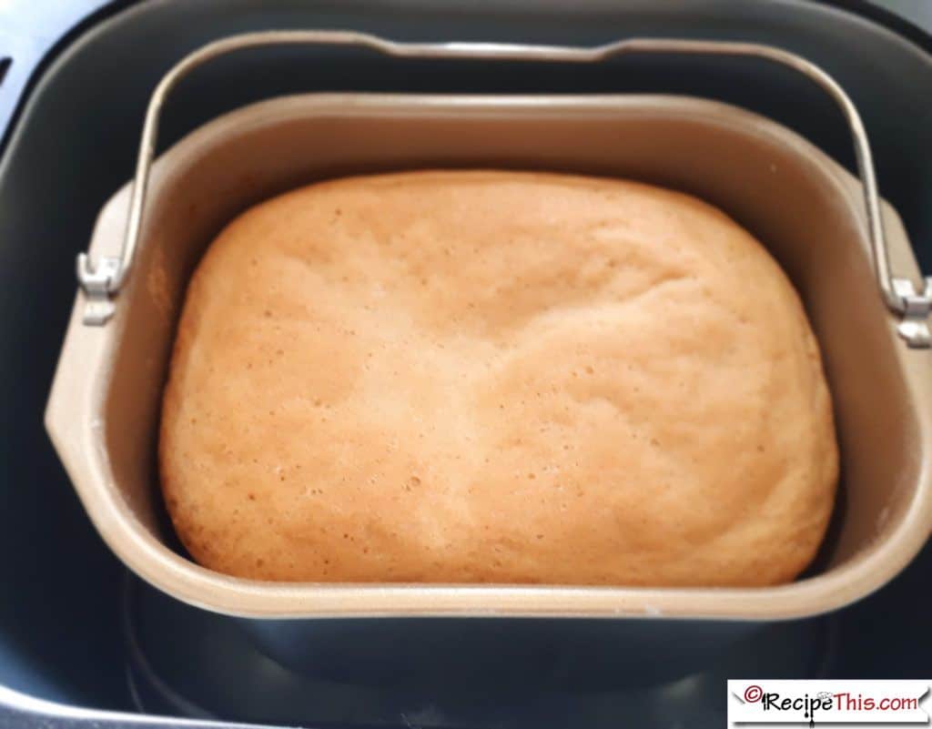 just cooked bread maker bread