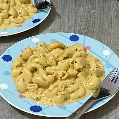 ninja foodi mac and cheese