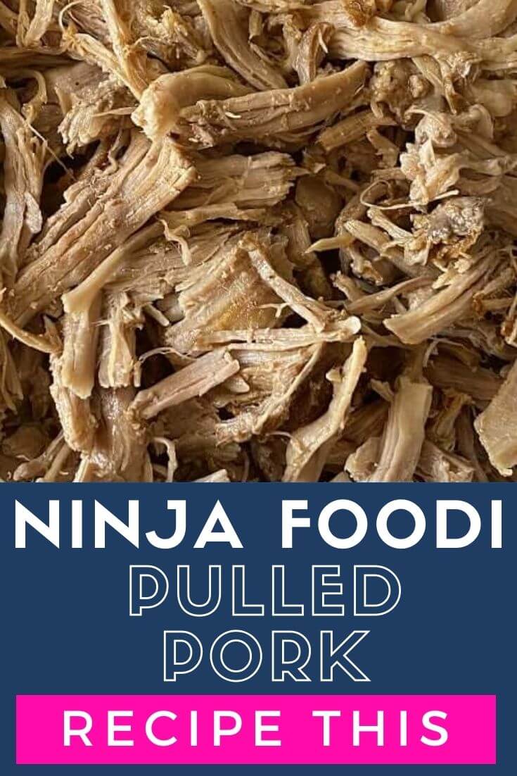 Recipe This 59 Best Ninja Foodi Recipes For Beginners