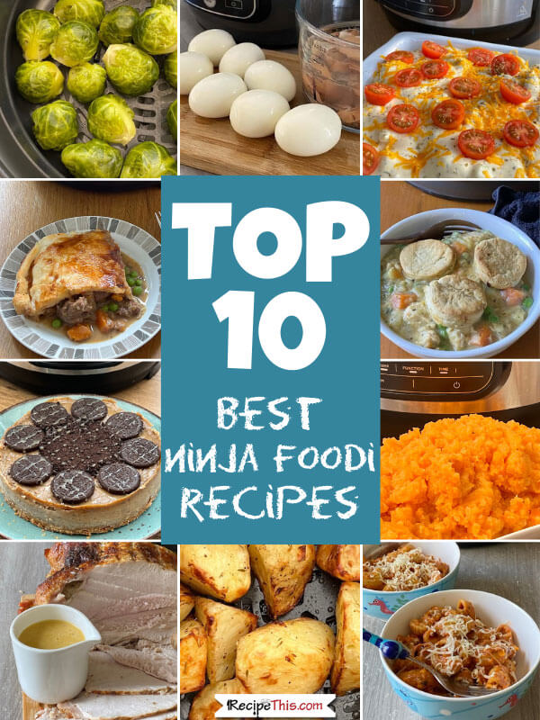 ninja-foodi-roundup-top-10