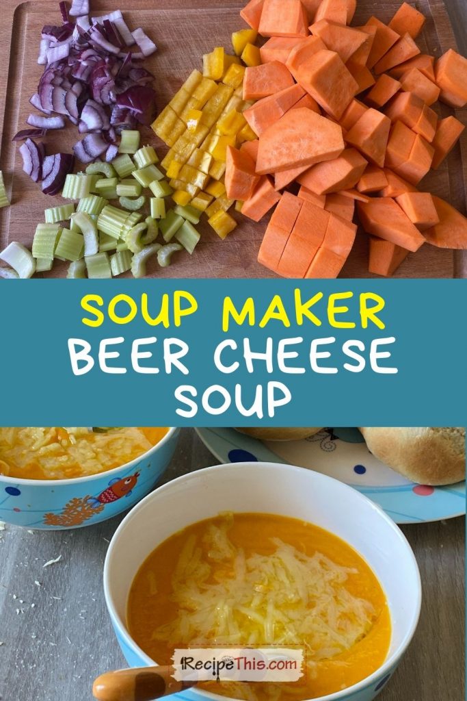 soup maker beer cheese soup recipe