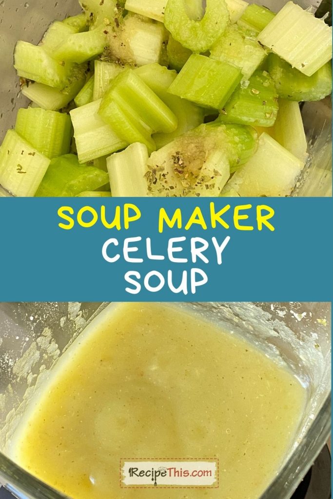 soup maker celery soup recipe