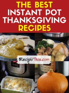 the best instant pot thanksgiving recipes